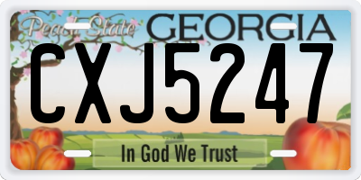 GA license plate CXJ5247