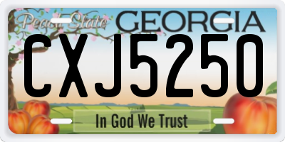 GA license plate CXJ5250