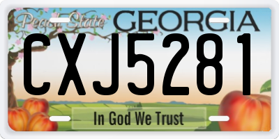 GA license plate CXJ5281
