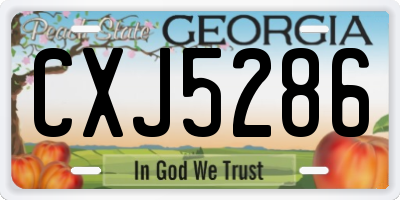 GA license plate CXJ5286