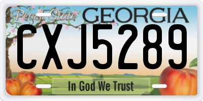 GA license plate CXJ5289