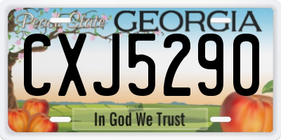 GA license plate CXJ5290