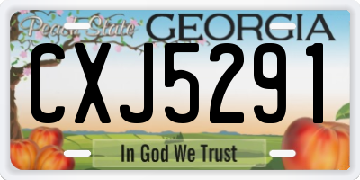 GA license plate CXJ5291