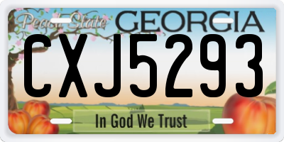 GA license plate CXJ5293