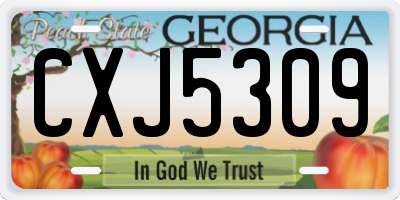 GA license plate CXJ5309