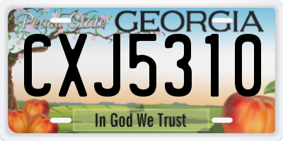GA license plate CXJ5310