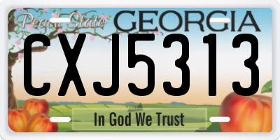 GA license plate CXJ5313