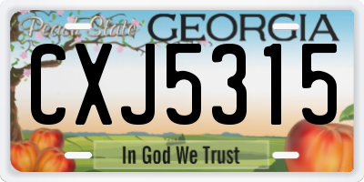 GA license plate CXJ5315