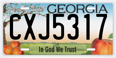 GA license plate CXJ5317