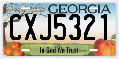 GA license plate CXJ5321