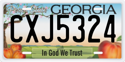 GA license plate CXJ5324