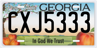 GA license plate CXJ5333