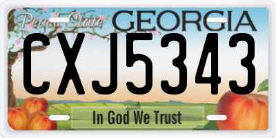 GA license plate CXJ5343