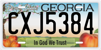 GA license plate CXJ5384