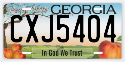 GA license plate CXJ5404