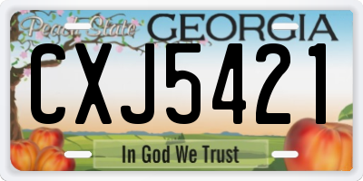 GA license plate CXJ5421