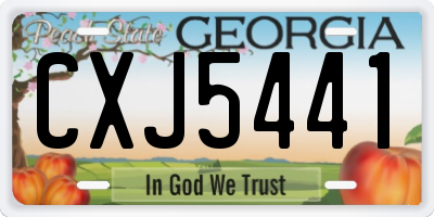 GA license plate CXJ5441