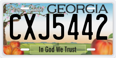 GA license plate CXJ5442