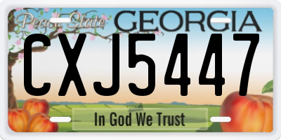 GA license plate CXJ5447