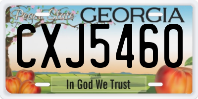 GA license plate CXJ5460