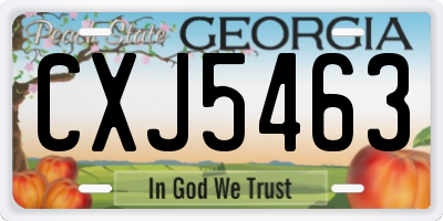 GA license plate CXJ5463