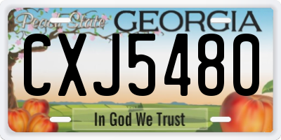 GA license plate CXJ5480