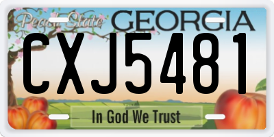 GA license plate CXJ5481