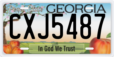 GA license plate CXJ5487