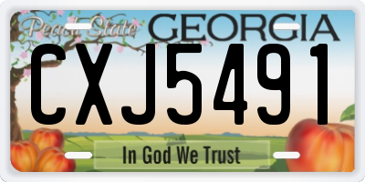 GA license plate CXJ5491