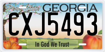 GA license plate CXJ5493