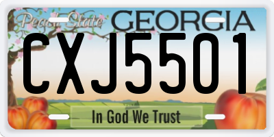 GA license plate CXJ5501