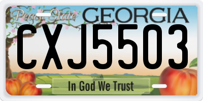 GA license plate CXJ5503