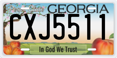 GA license plate CXJ5511