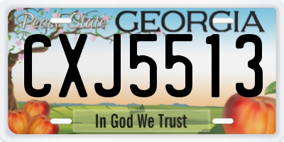 GA license plate CXJ5513