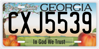 GA license plate CXJ5539