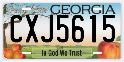 GA license plate CXJ5615