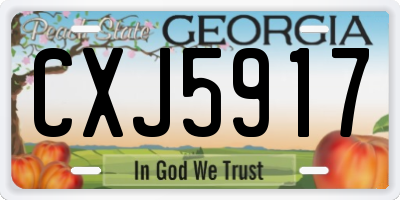 GA license plate CXJ5917