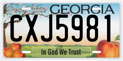 GA license plate CXJ5981