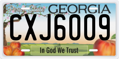 GA license plate CXJ6009