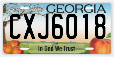 GA license plate CXJ6018