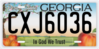 GA license plate CXJ6036