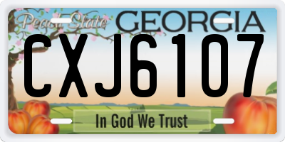 GA license plate CXJ6107