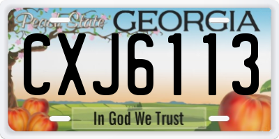 GA license plate CXJ6113