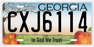 GA license plate CXJ6114