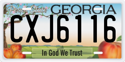 GA license plate CXJ6116