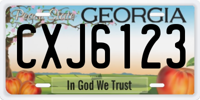 GA license plate CXJ6123
