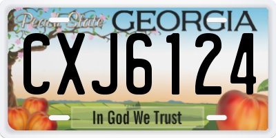 GA license plate CXJ6124