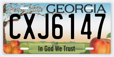 GA license plate CXJ6147
