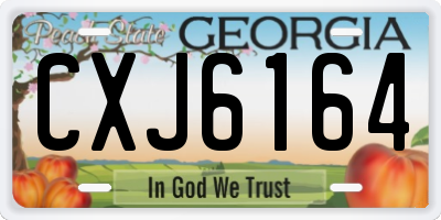 GA license plate CXJ6164