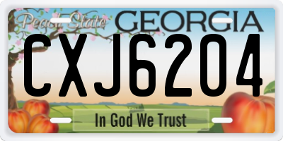 GA license plate CXJ6204